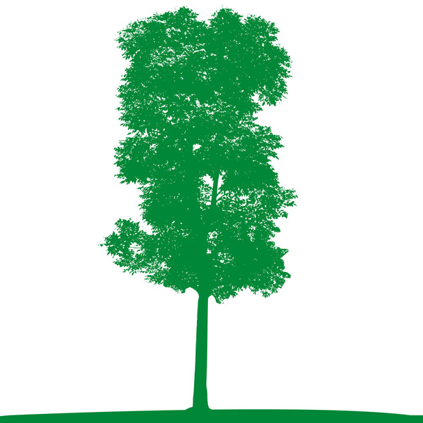 Yeşil ağaç vektör - Vektör, Görsel