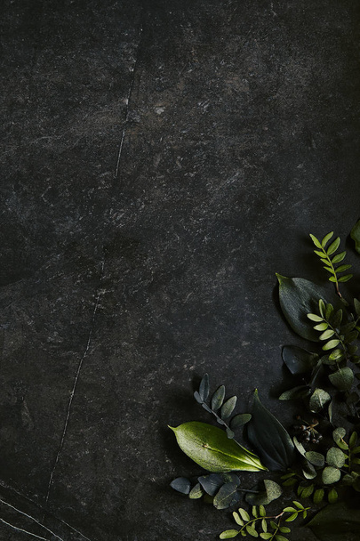 Темно-зелене тропічне листя маскується на фоні натурального чорного каменю
 - Фото, зображення