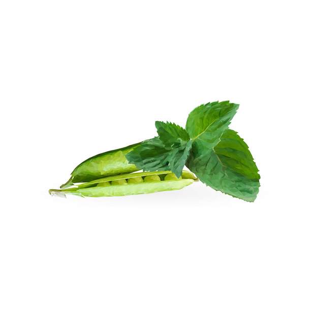 Green peas and mint in polygonal style. Low poly fresh food. Elements for label design. Ingredients in triangulation technique. Vector illustration. - Vector, Image
