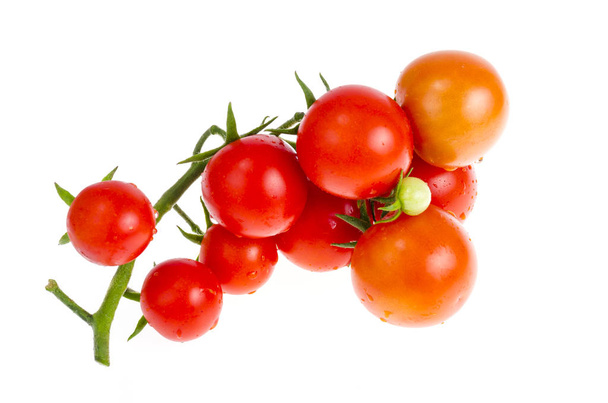 Branch with red cherry tomatoes isolated on white background - Photo, Image