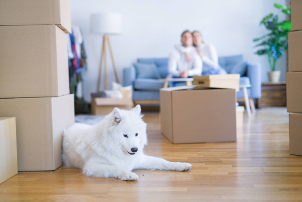 Young beautiful couple with dog sitting on the sofa at new home around cardboard boxes - Foto, Bild