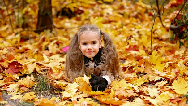 Carino bambina camminando e raccogliendo foglie autunnali
 - Foto, immagini