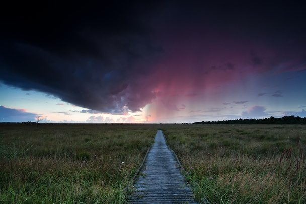 dramatyczne Burza nad ścieżką przez bagna - Zdjęcie, obraz