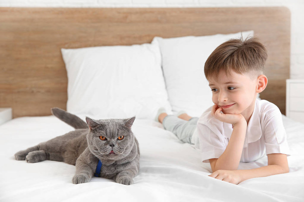 Little boy with cute cat in bedroom - Foto, afbeelding
