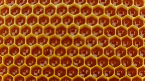 Peine de miel. Fragmento de imitación de panal de abeja de plástico. Fondo abstracto
. - Metraje, vídeo