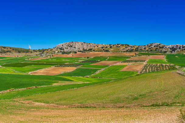 Krajobraz w pobliżu Cuevas del Becerro w prowincji Malaga, Andaluzja, Hiszpania - Zdjęcie, obraz
