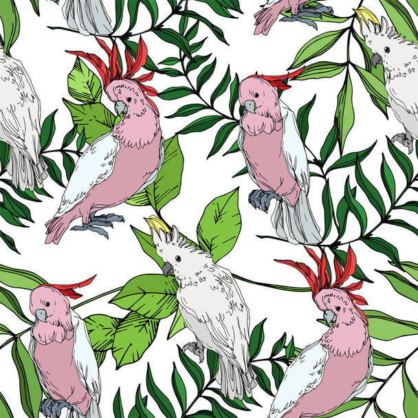 Vector Sky bird cockatoo in a wildlife. Black and white engraved ink art. Seamless background pattern. - Διάνυσμα, εικόνα