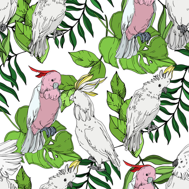 Vector Sky bird cockatoo in a wildlife. Black and white engraved ink art. Seamless background pattern. - Vector, afbeelding
