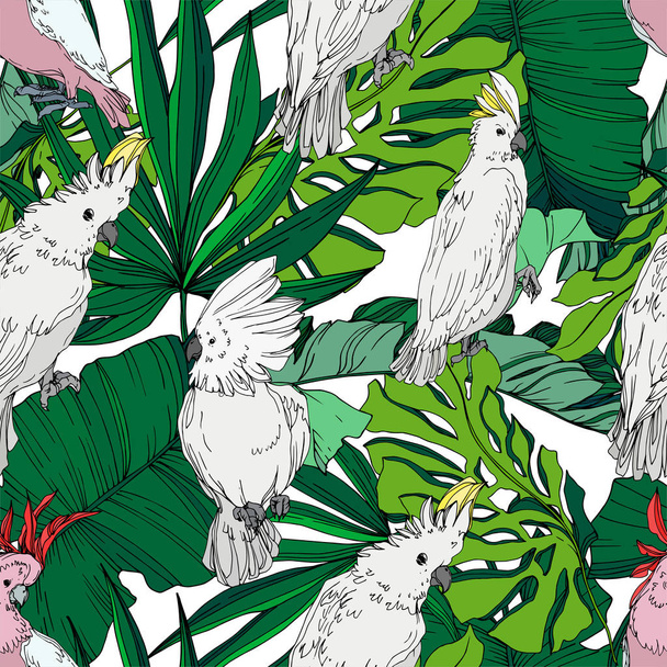 Vektorhimmelvogel Kakadu in einer Tierwelt. Schwarz-weiß gestochene Tuschekunst. nahtloses Hintergrundmuster. - Vektor, Bild