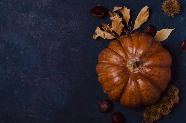 Fall pumpkin with leaves and chestnuts. - Photo, Image