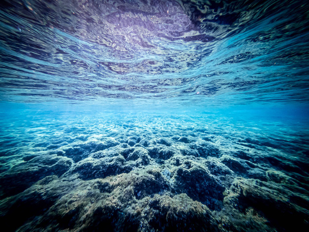 Vista submarina del fondo marino
 - Foto, Imagen