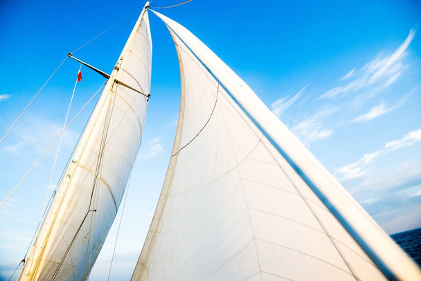Weiße Segel der Jacht gegen blauen Himmel. Ostsee, Lettland - Foto, Bild