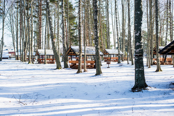 Téli táj. Hóval borított tengerpart és a zöld fák ellen, tiszta kék ég. Balti-tenger, Lettország - Fotó, kép