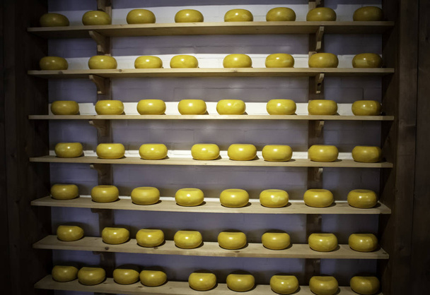 Hollanda'da Peynirler - Fotoğraf, Görsel