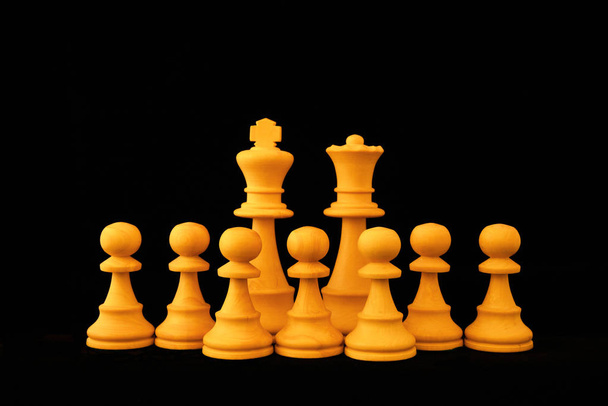 Large family concept with chess pieces - Photo, Image
