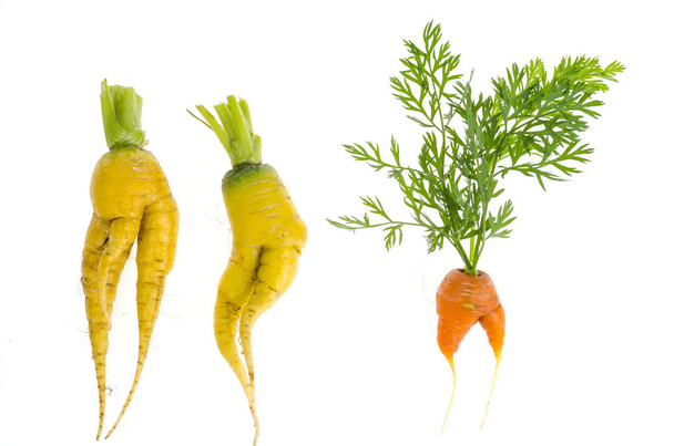 Гадкие овощи, еда. Деформированная свежая органическая морковь. Уродливые продукты
.  - Фото, изображение
