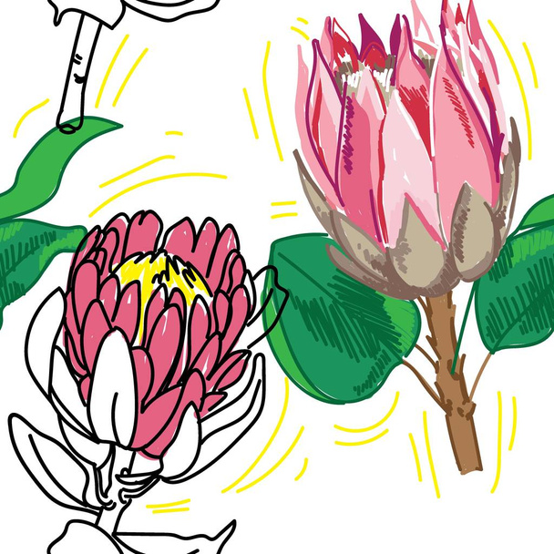 Seamless pattern with proteas. Large African flower. Stylish illustration, colorful drawing. - ベクター画像