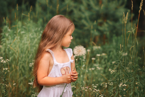 little girl with a big dandelion in nature in summer - Foto, Bild