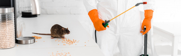 panoramic shot of exterminator holding toxic spray and standing near rat on table  - Photo, Image