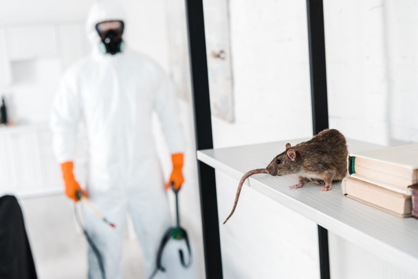 foco seletivo de rato em rack perto de exterminador
  - Foto, Imagem