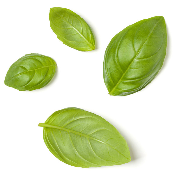 Sweet Basil herb leaves isolated on white background closeup. Fl - Foto, Imagen