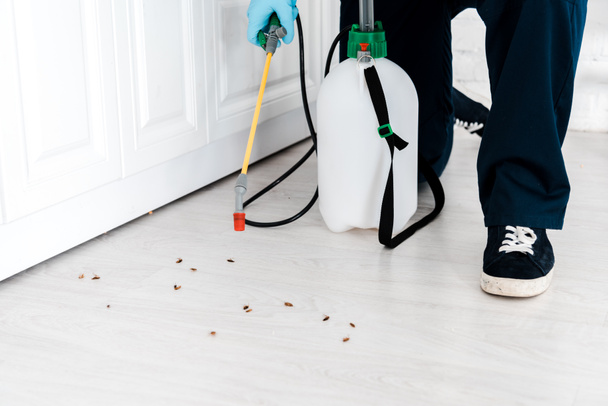 vista ritagliata dell'uomo che tiene lo spray tossico vicino agli scarafaggi sul pavimento in cucina
  - Foto, immagini