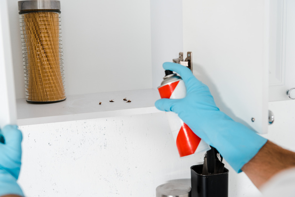 cropped view of exterminator in latex glove holding spray can near kitchen cabinet with insects  - Photo, Image