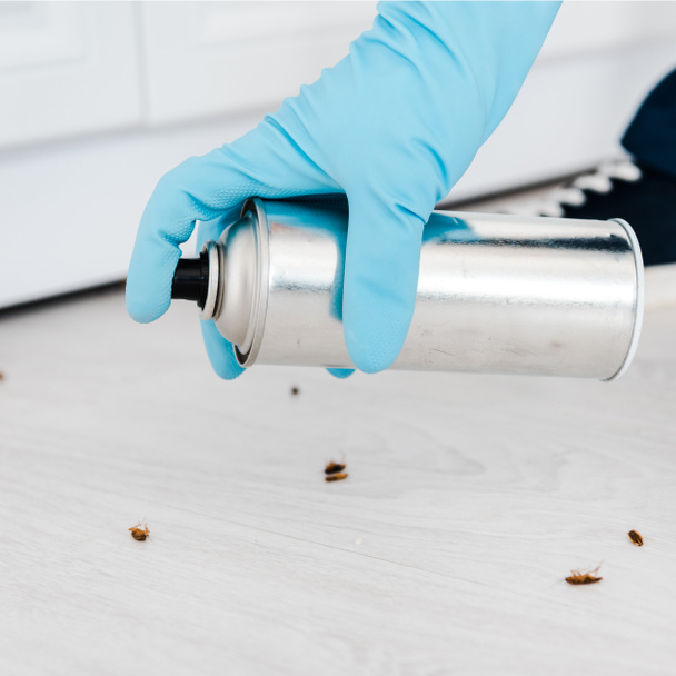 Blízká exterminátor držící toxický sprej může blízko hmyzu na podlaze - Fotografie, Obrázek