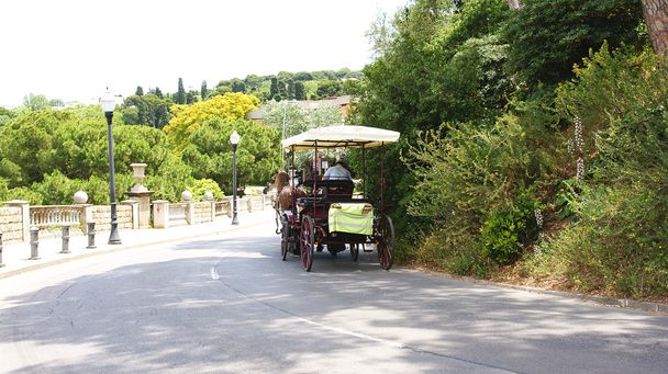 Stroll along Montjuic with carriage - Photo, Image