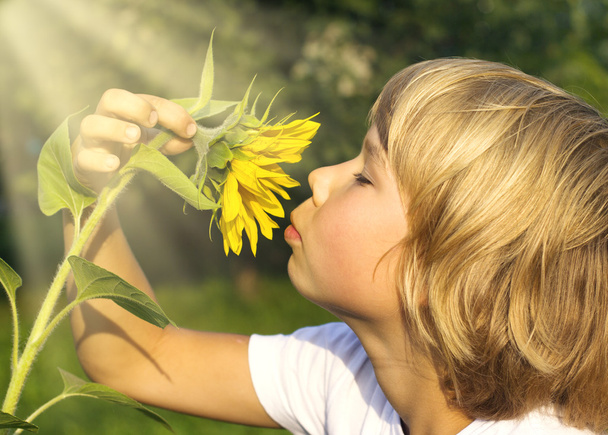 chlapec vonící slunečnice - Fotografie, Obrázek