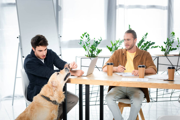 handsome man feeding golden retriever and his friend looking at him  - Photo, Image