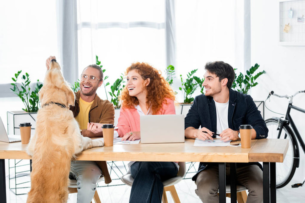 three friends smiling and feeding golden retriever in office  - Foto, immagini