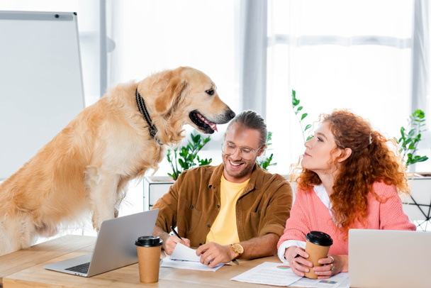 businessman doing paperwork and woman looking at cute golden retriever in office  - Photo, Image