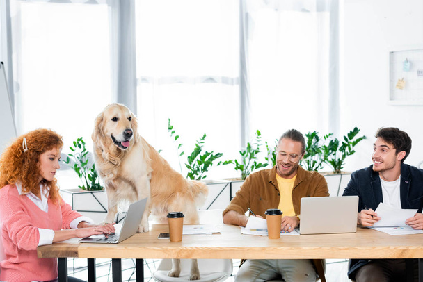 three friends smiling and doing paperwork,  golden retriever sitting on table in office   - Photo, Image