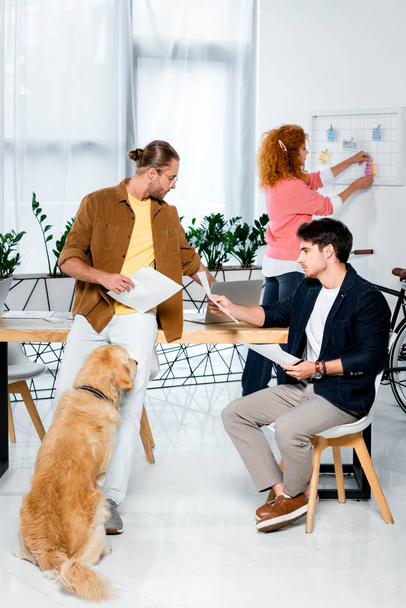 handsome friends doing paperwork and golden retriever sitting in office  - Photo, Image