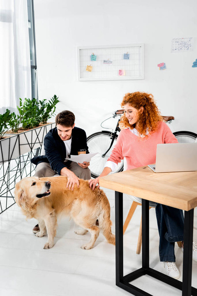 handsome man and attractive woman stroking cute golden retriever in office  - Photo, Image