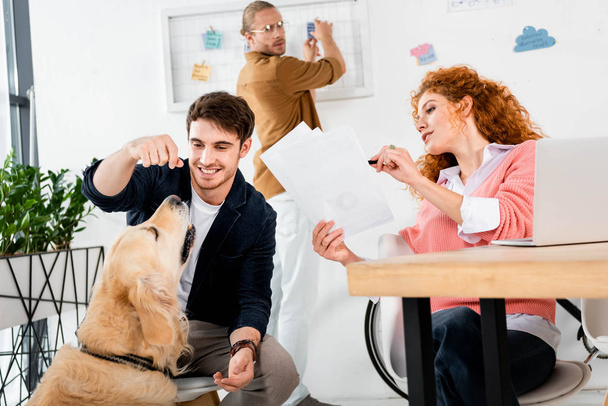 two friends doing paperwork and handsome man feeding cute golden retriever in office  - Photo, Image