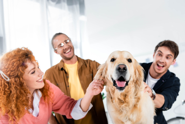 selective focus of three smiling friends stroking cute golden retriever in office  - Photo, Image