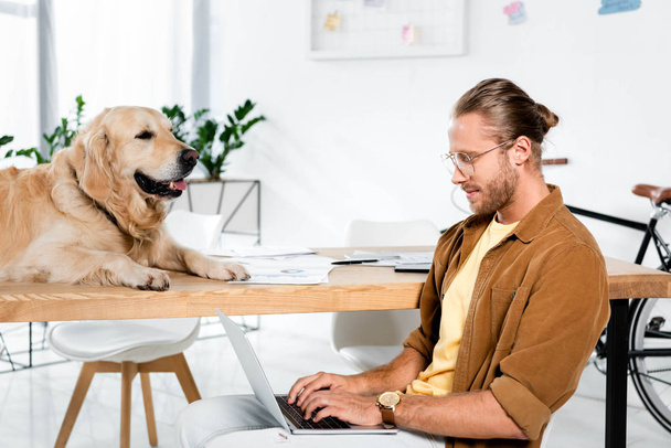 handsome businessman using laptop and golden retriever lying on table  - Photo, Image