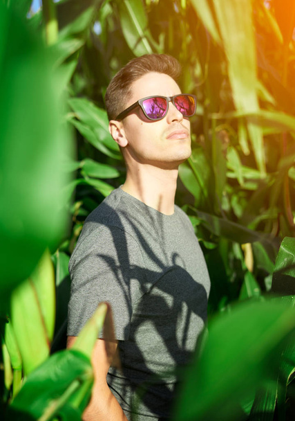 Portrait of a young man with sunglasses in the middle of a corn plantation - Photo, image