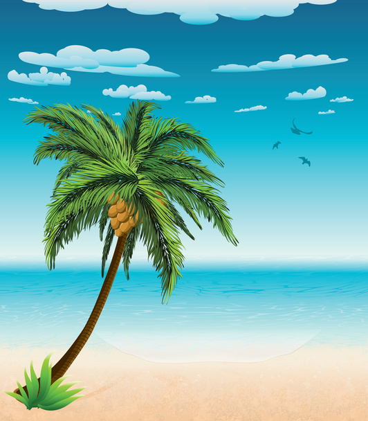 Playa de verano y palmera
 - Vector, imagen