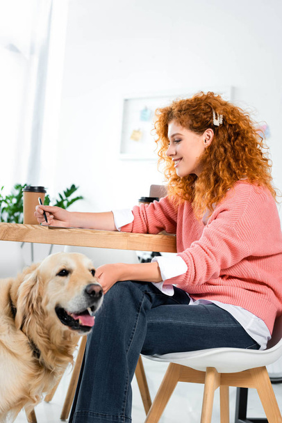 attractive and smiling woman in pink sweater stroking golden retriever in office  - Fotoğraf, Görsel