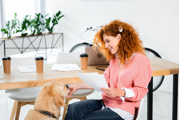 attractive and smiling woman in pink sweater feeding golden retriever in office  - Photo, Image
