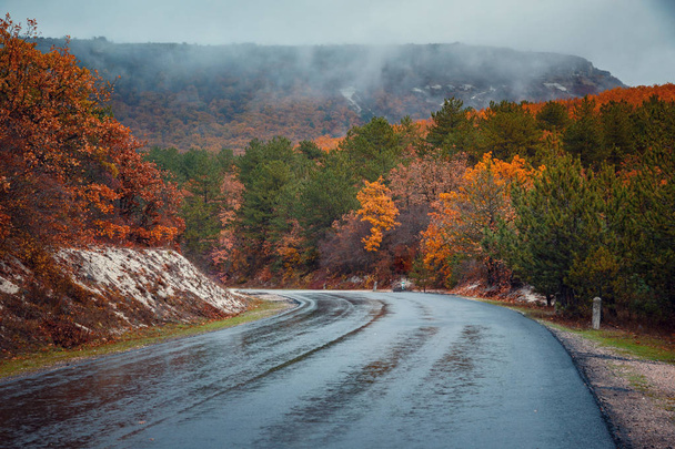 Beautiful colorful curved Autumn Fall road in the mountains of Crimea, Ukraine - Photo, Image