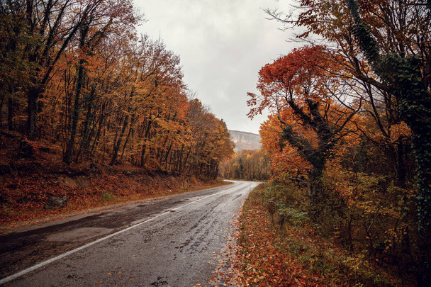 Beautiful colorful curved Autumn Fall road in the mountains of Crimea, Ukraine - Photo, Image