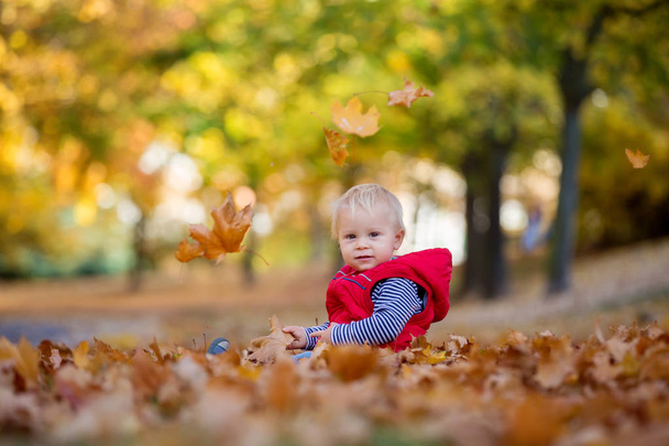Щаслива дитина, хлопчик, сміється і грає восени
 - Фото, зображення