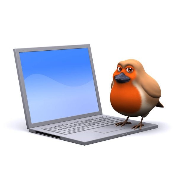 3d Robin on a laptop - Photo, Image