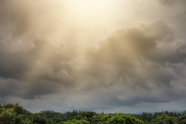 Dunkelgraue Gewitterwolken über grünen Waldbäumen. Dramatisch - Foto, Bild