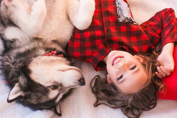 Cute girl in a red checkered shirt with malamute at home in the room decorated for Christmas. Happy christmas mood - Foto, afbeelding
