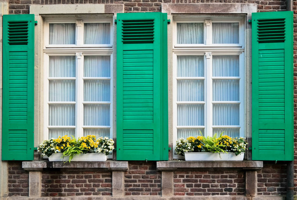 Deux fenêtres rétro avec des nuances de bois vert avec des fleurs jaunes sur le bâtiment en brique rouge
 - Photo, image